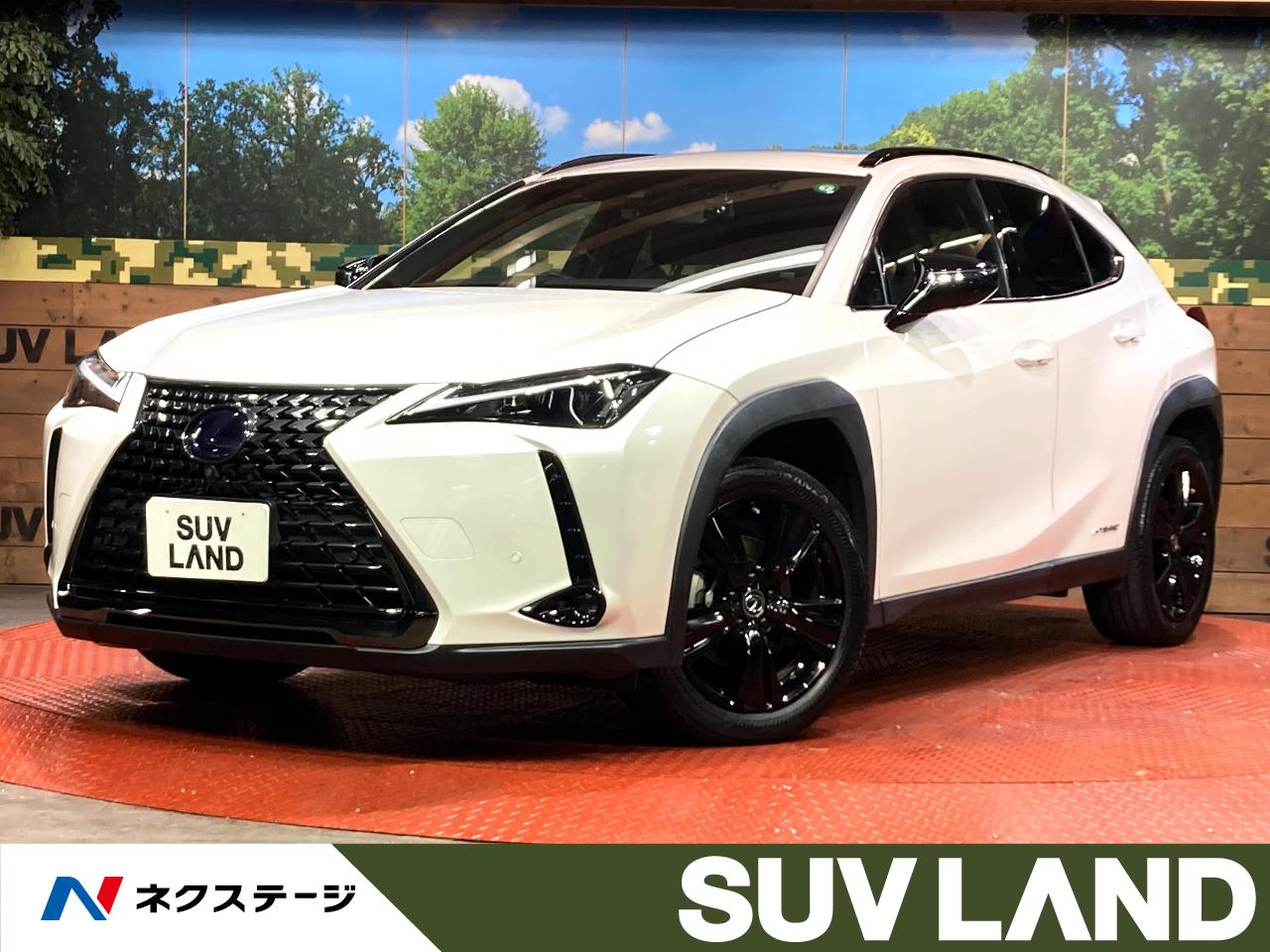 yamaページ 2021 LEXUS UX | YAMAGIN CORPORATION