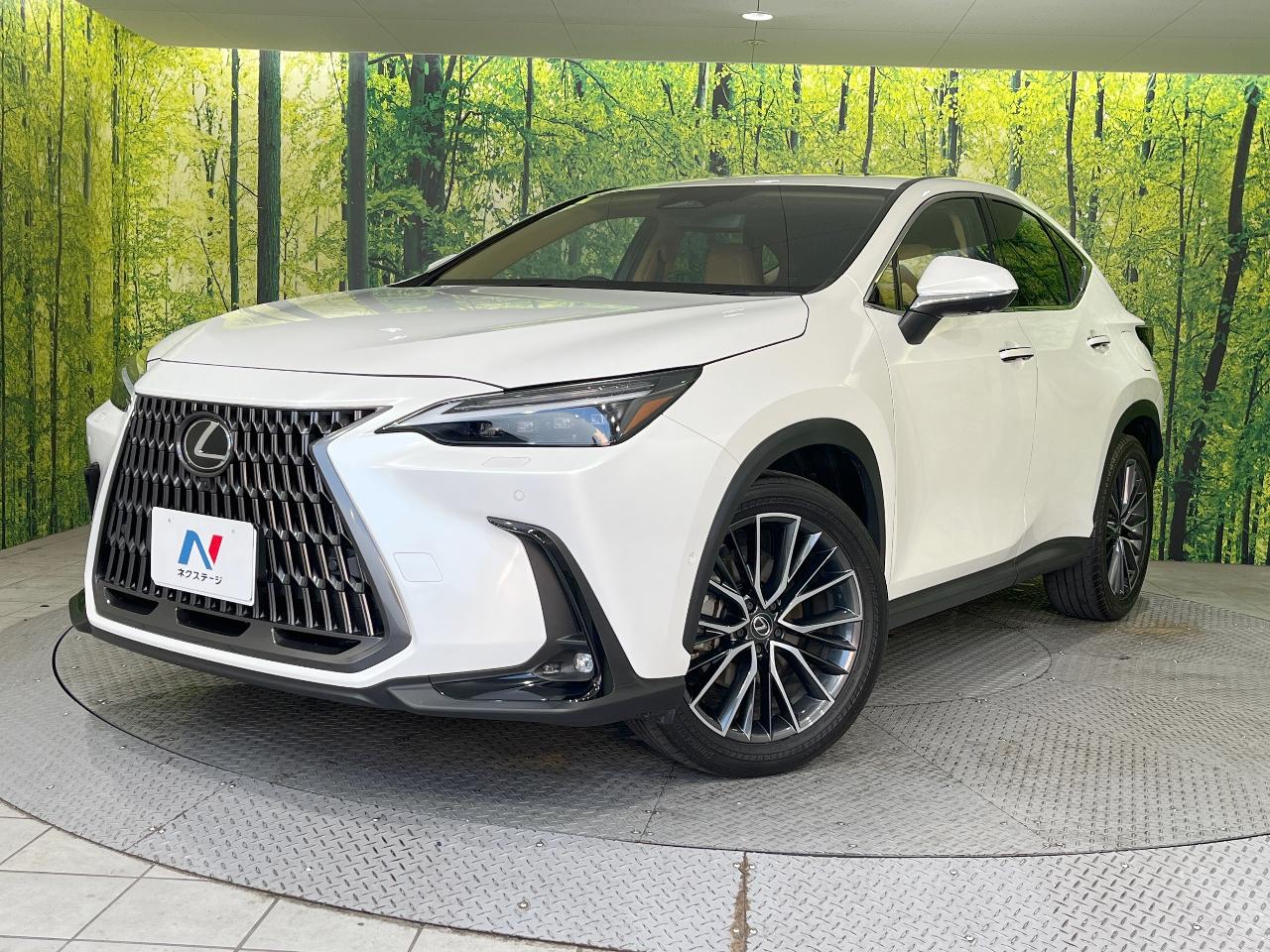 2024 LEXUS NX | YAMAGIN CORPORATION