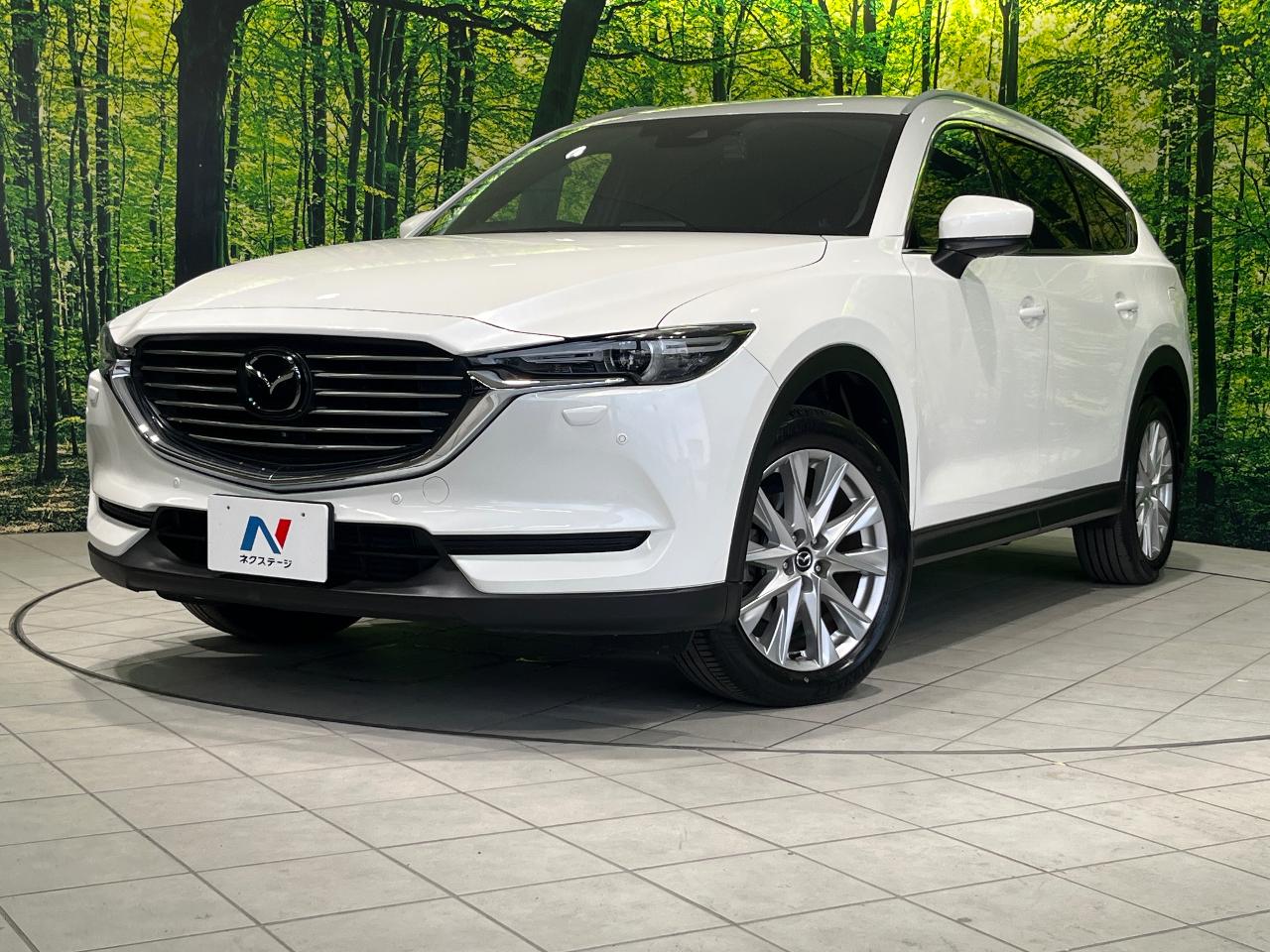ＣＸ－８
