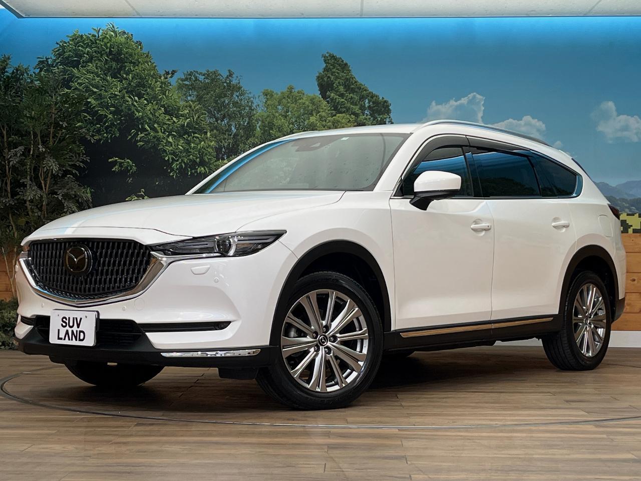 CX-8